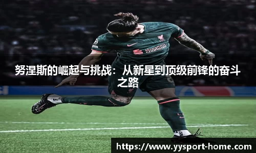 YY易游体育APP